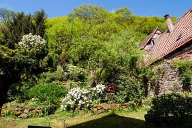Ferienhaus Elsass Oberbronn Garten unter den Vogesen im Frühling